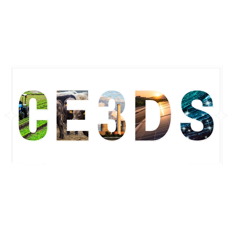 CE3DS