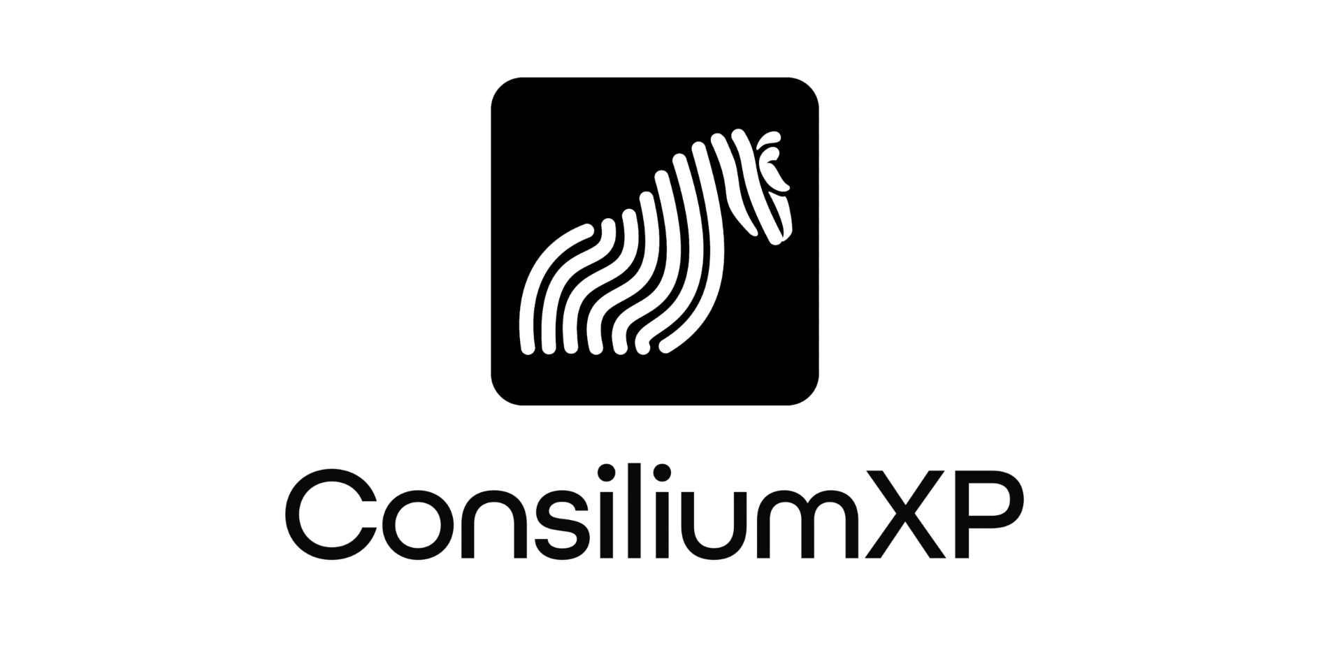 Logo ConsiliumXP
